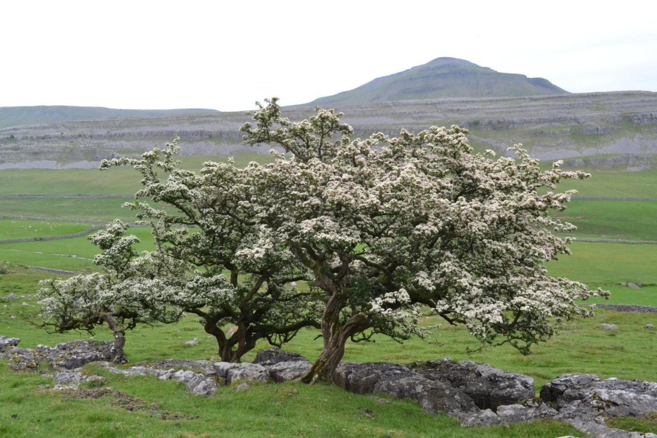 Dalecote Barn Bed & Breakfast Ingleton  Dış mekan fotoğraf
