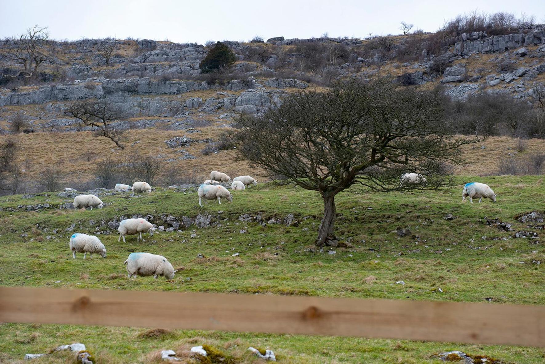 Dalecote Barn Bed & Breakfast Ingleton  Dış mekan fotoğraf